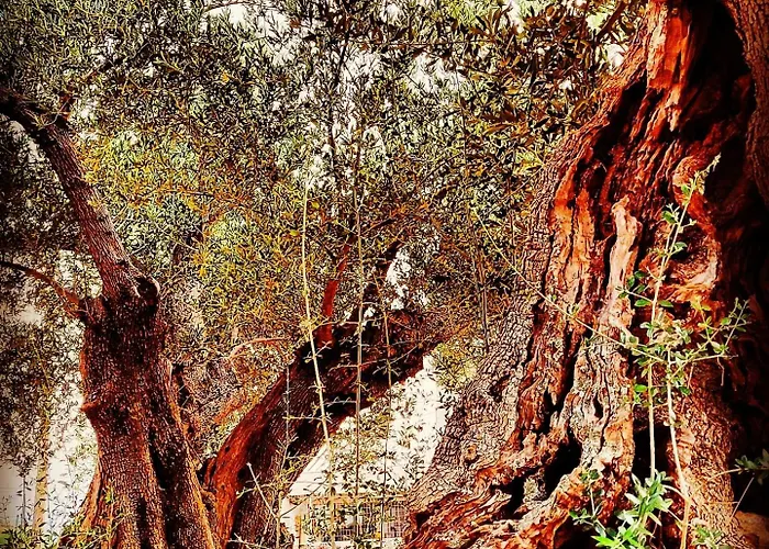 Rodi Appart hôtel 3*